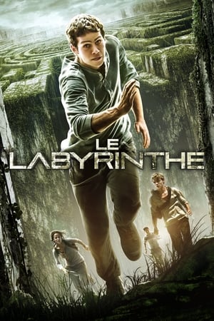 Le Labyrinthe