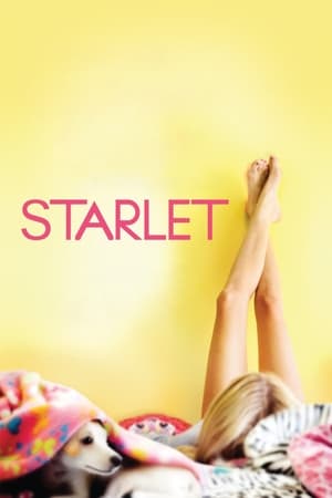 Starlet